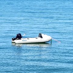 Used Aer V Inflatable VIB 400 Wayler Mariner