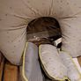 Clevamama Clevacushion nursing pillow Image 2