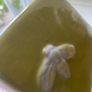ShabbyChic Home Decor from NEXT Image 6