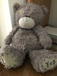 New Soft Grey Bear' Pyjamas/Nightie case