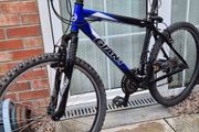 Giant mtb mountain bike