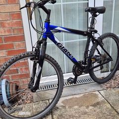 Giant mtb mountain bike