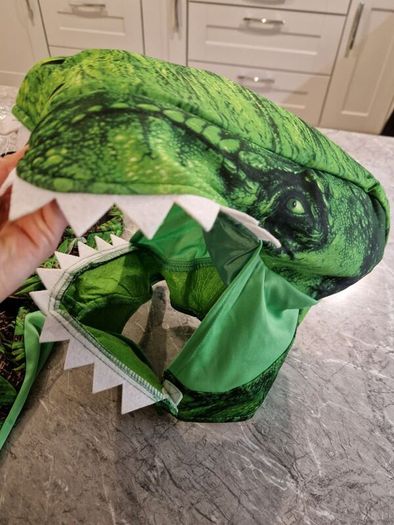 Halloween Dinosaur Costume