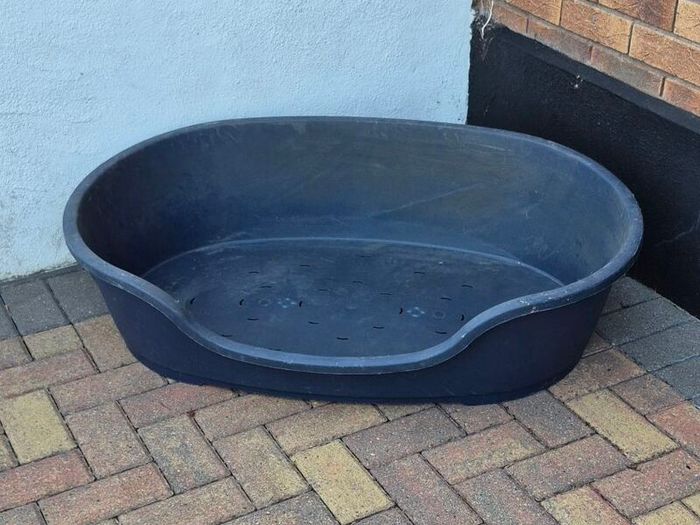Large dog bed