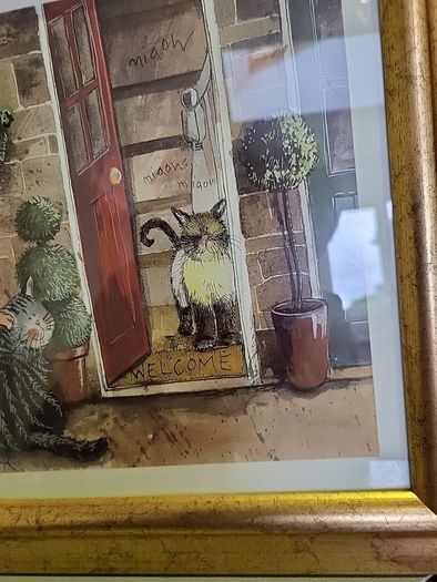 Cat print