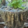 "A fern in a handmade cement pot Image 3