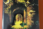 The Gormenghast Trilogy: Titus Groan, Gormenghast, Titus Alone (Mervyn Peake)