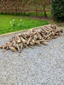 Firewood