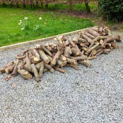 Firewood