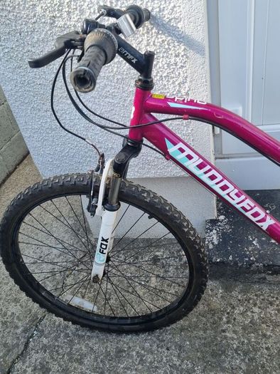 Bicycle in Very Good Condition