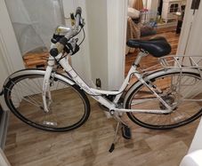 Womens Bike