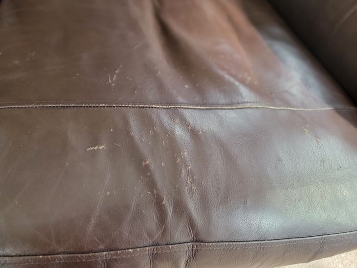 2 leather couches