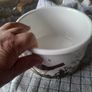 portmeirion dish Image 6