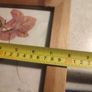 Set 2 Vintage Authentic Botanical Press Flowers Framed Wall Folk Art Image 10