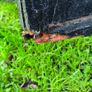 fence Image 3