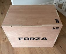 Forza Polymetric Jump Box