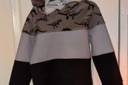 Shein dinosaur hoody age 4