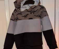 Shein dinosaur hoody age 4