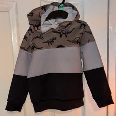 Shein dinosaur hoody age 4