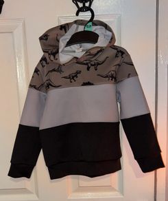 Shein dinosaur hoody age 4