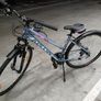 Kelly's Ladies bike size S Image 9