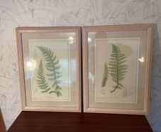 Pair of Laura Ashley Framed Botanical Fern prints
