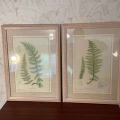 Pair of Laura Ashley Framed Botanical Fern prints