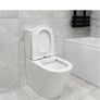 Rimless Toilet Image 3
