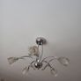 Ceiling Light Image 4