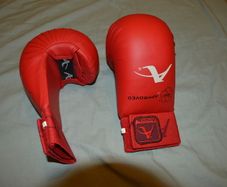 boxing gloves kids