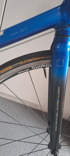 Giant TCR 1