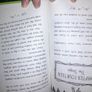 Children's book- Princess DisGrace , brand new Image 2