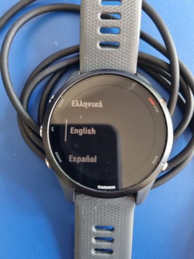 Garmin Forerunner 255