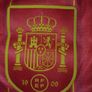 Spain World Cup Jersey Image 3
