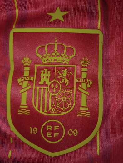 Spain World Cup Jersey