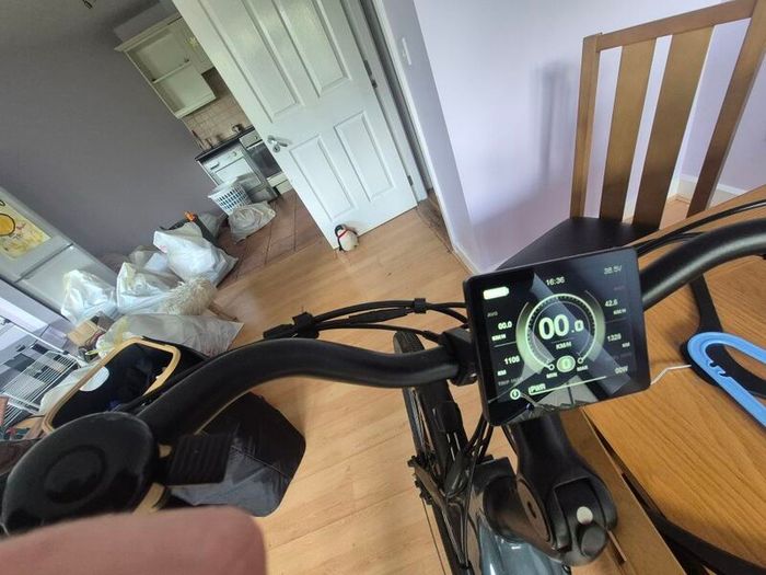pedal assist