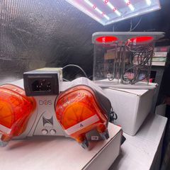 Neptune Apex