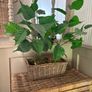 Washed rattan planter console or centrepiece with timer lights Image 8