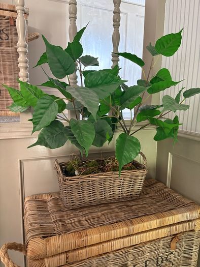 Washed rattan planter console or centrepiece with timer lights