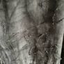 Rachel Mackay grey green embroidered hoodie jacket Image 3