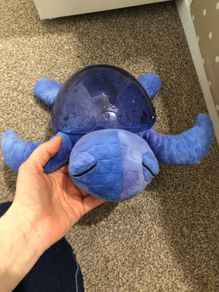 CloudB Tranquil Turtle Rechargeable - Ocean