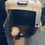 Dog Airline-Approved Carrier Image 2