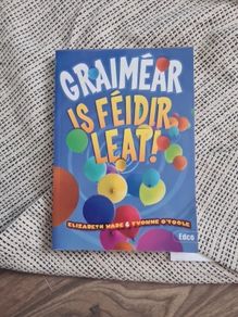 Irish grammar book