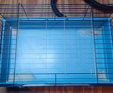 guinea pig cage