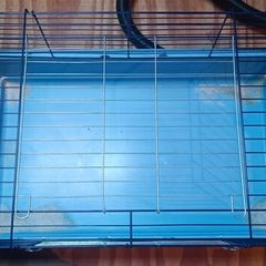 guinea pig cage