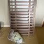 FREE IKEA SUNDVIK Cot + Mattress, Bumper & Sheets Image 4