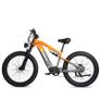 Randride YX80 Electric Bike Image 2