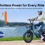 ENGWE L20 BOOST Step-Thru Electric Bike Image 9