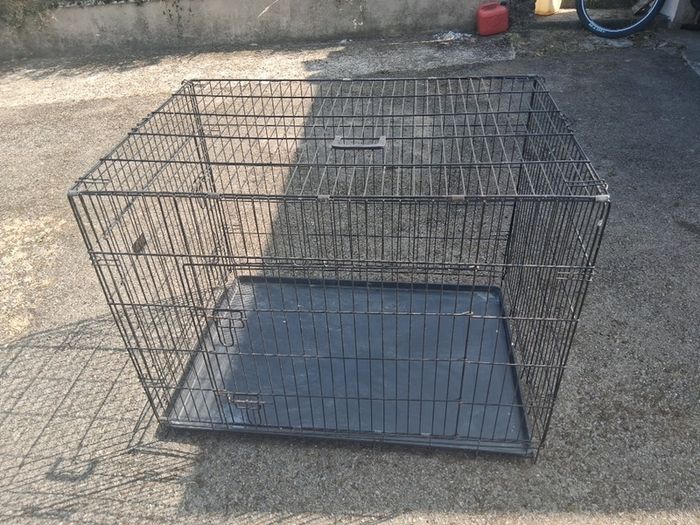 dog  crate