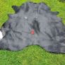 Cow's hide Image 10